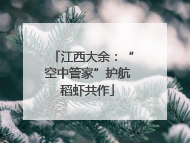 江西大余：“空中管家”护航稻虾共作