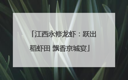 江西永修龙虾：跃出稻虾田 飘香京城宴