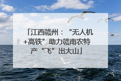 江西赣州：“无人机+高铁”助力赣南农特产“飞”出大山
