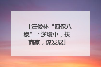 汪俊林“四保八稳”：逆境中，扶商家，谋发展