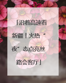 沿着高速看新疆丨火热“夜”态点亮丝路会客厅