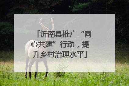 沂南县推广“同心共建”行动，提升乡村治理水平