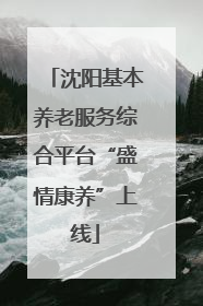 沈阳基本养老服务综合平台“盛情康养”上线