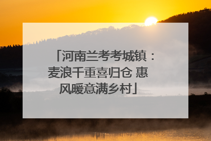 河南兰考考城镇：麦浪千重喜归仓 惠风暖意满乡村
