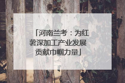 河南兰考：为红薯深加工产业发展贡献巾帼力量