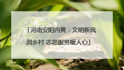河南安阳内黄：文明新风润乡村 志愿服务暖人心
