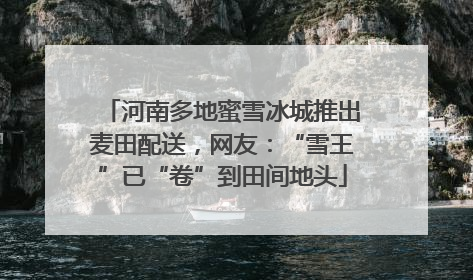 河南多地蜜雪冰城推出麦田配送，网友：“雪王”已“卷”到田间地头
