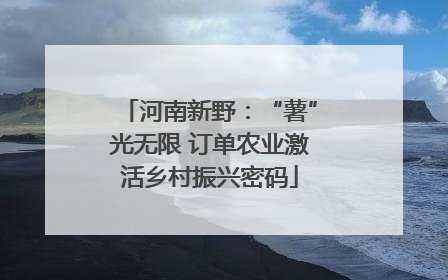 河南新野：“薯”光无限 订单农业激活乡村振兴密码