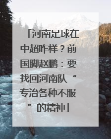 河南足球在中超咋样？前国脚赵鹏：要找回河南队“专治各种不服”的精神