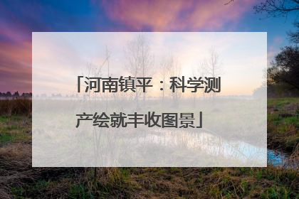 河南镇平：科学测产绘就丰收图景