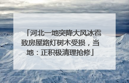 河北一地突降大风冰雹致房屋路灯树木受损，当地：正积极清理抢修
