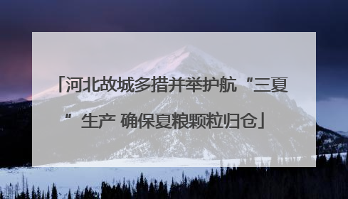 河北故城多措并举护航“三夏”生产 确保夏粮颗粒归仓