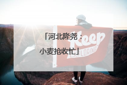 河北隆尧：小麦抢收忙