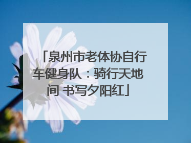 泉州市老体协自行车健身队：骑行天地间 书写夕阳红
