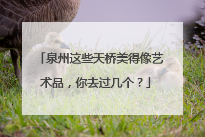 泉州这些天桥美得像艺术品，你去过几个？