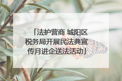 法护营商 城阳区税务局开展民法典宣传月进企送法活动