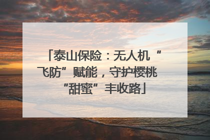 泰山保险：无人机“飞防”赋能，守护樱桃“甜蜜”丰收路