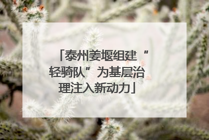 泰州姜堰组建“轻骑队”为基层治理注入新动力