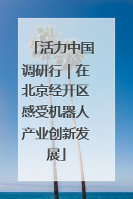 活力中国调研行｜在北京经开区感受机器人产业创新发展