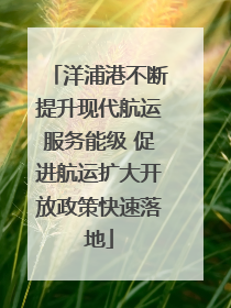 洋浦港不断提升现代航运服务能级 促进航运扩大开放政策快速落地