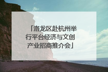洛龙区赴杭州举行平台经济与文创产业招商推介会