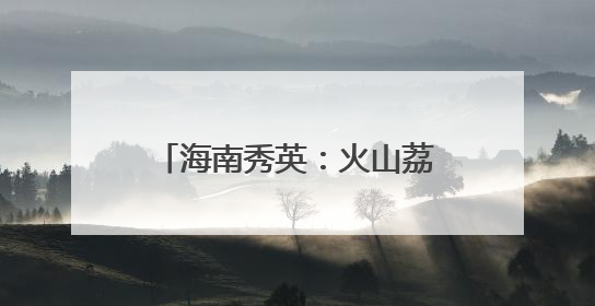 海南秀英：火山荔枝王串起乡村振兴“甜蜜产业链”