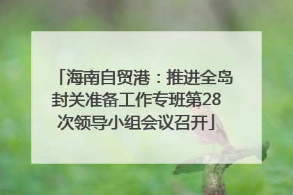 海南自贸港：推进全岛封关准备工作专班第28次领导小组会议召开