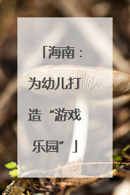 海南：为幼儿打造“游戏乐园”
