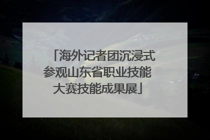 海外记者团沉浸式参观山东省职业技能大赛技能成果展