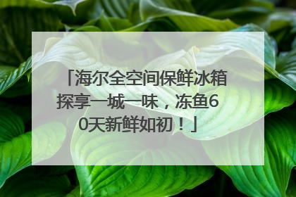 海尔全空间保鲜冰箱探享一城一味，冻鱼60天新鲜如初！