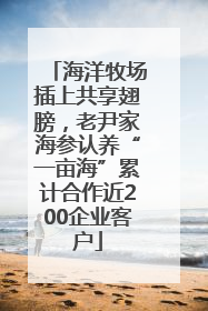 海洋牧场插上共享翅膀，老尹家海参认养“一亩海”累计合作近200企业客户