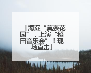 海淀“莫奈花园”，上演“稻田音乐会”！现场直击