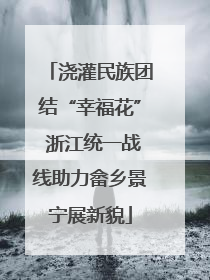 浇灌民族团结“幸福花” 浙江统一战线助力畲乡景宁展新貌