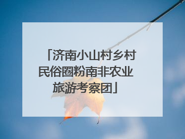 济南小山村乡村民俗圈粉南非农业旅游考察团