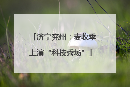 济宁兖州：麦收季上演“科技秀场”