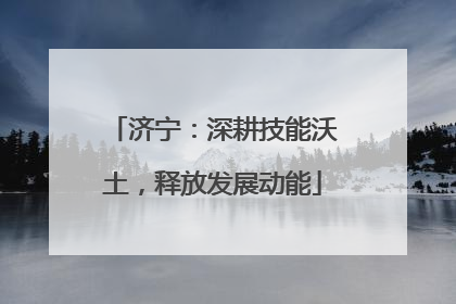 济宁：深耕技能沃土，释放发展动能