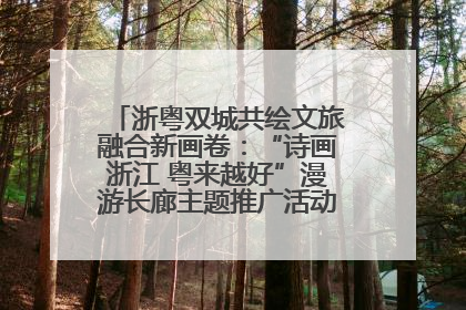 浙粤双城共绘文旅融合新画卷：“诗画浙江 粤来越好”漫游长廊主题推广活动在广州花城汇启幕