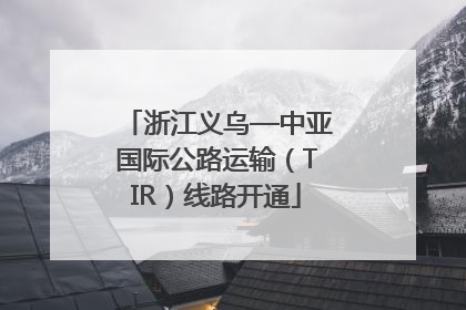 浙江义乌—中亚国际公路运输（TIR）线路开通