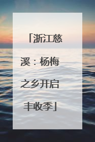 浙江慈溪：杨梅之乡开启丰收季