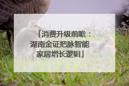 消费升级前瞻：湖南金证把脉智能家居增长逻辑