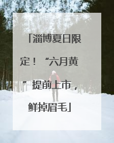 淄博夏日限定！“六月黄”提前上市，鲜掉眉毛