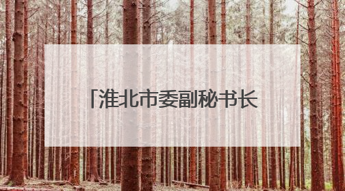 淮北市委副秘书长谢谢出任淮北市国防动员办公室主任