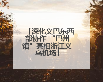 深化义巴东西部协作 “巴州馆”亮相浙江义乌机场