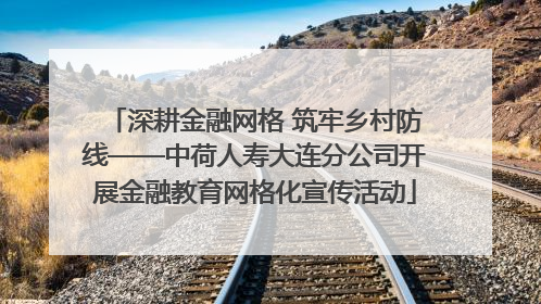 深耕金融网格 筑牢乡村防线——中荷人寿大连分公司开展金融教育网格化宣传活动