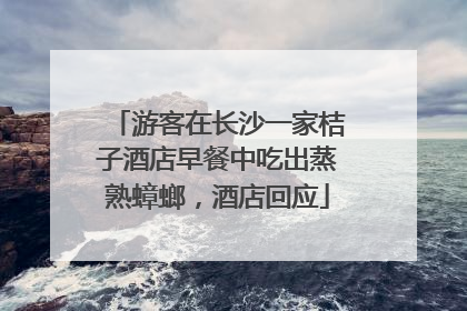 游客在长沙一家桔子酒店早餐中吃出蒸熟蟑螂，酒店回应