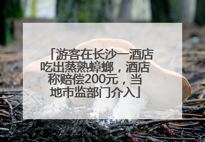 游客在长沙一酒店吃出蒸熟蟑螂，酒店称赔偿200元，当地市监部门介入