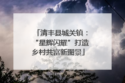 清丰县城关镇：“星辉闪耀”打造乡村共富新图景