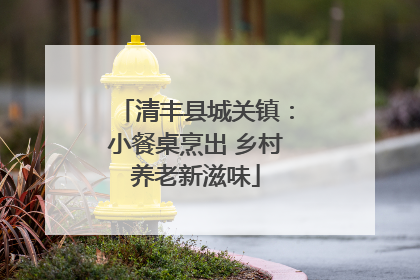 清丰县城关镇：小餐桌烹出 乡村养老新滋味