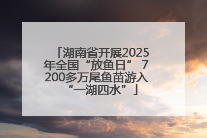 湖南省开展2025年全国“放鱼日” 7200多万尾鱼苗游入“一湖四水”