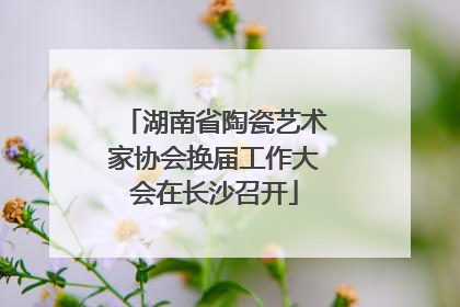 湖南省陶瓷艺术家协会换届工作大会在长沙召开
